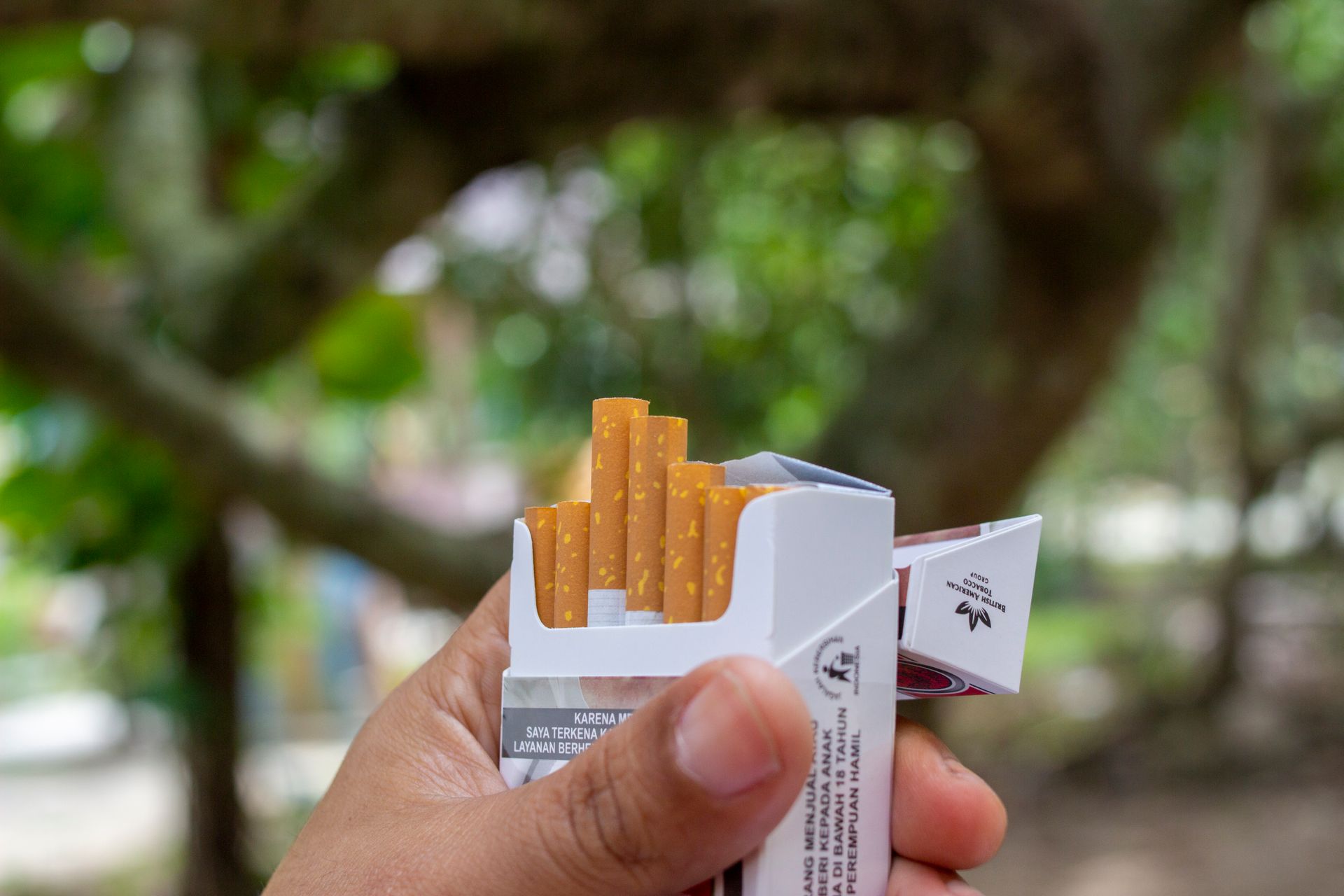 Life-saving potential of alternative nicotine products